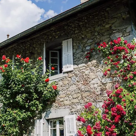 Mas De La Coutettaz, The Chalet